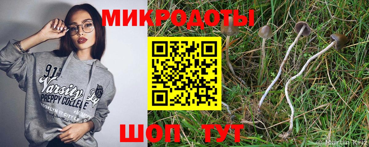 Дедовск  Псилоцибиновые грибы GOLDEN TEACHER  Вход с VPN  Галлюциногенные грибы GOLDEN TEACHER 